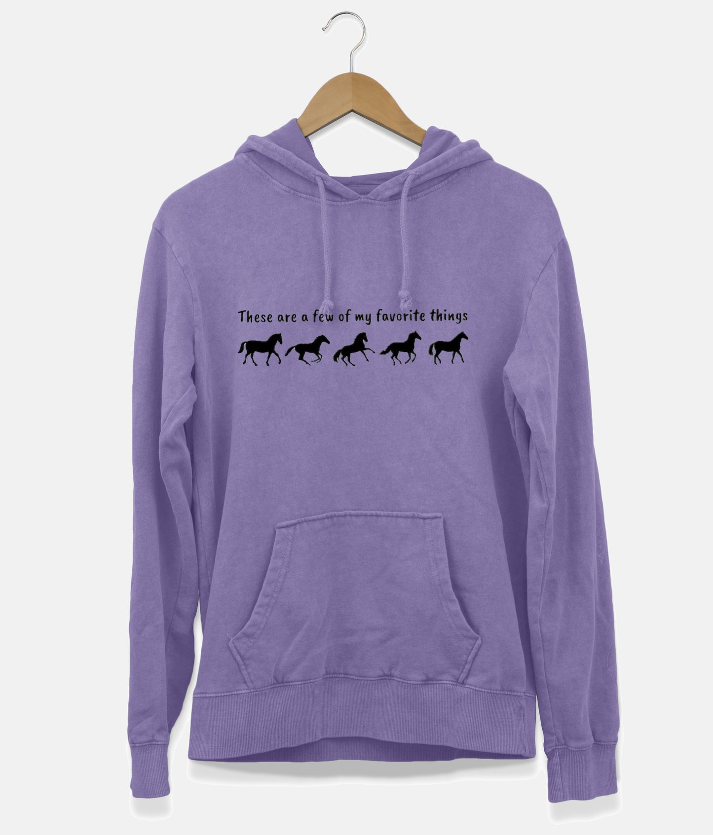 These Are A Few Of My Favorite Things Hoodie (Unisex)